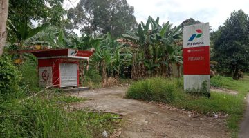 Krisis Kebijakan Pertashop: Tantangan Berat Bagi Pengusaha UMKM